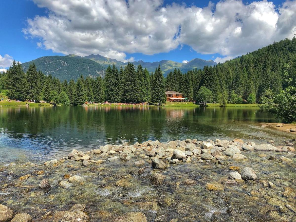 Casa Matteotti Mezzana Trentino Διαμέρισμα Εξωτερικό φωτογραφία